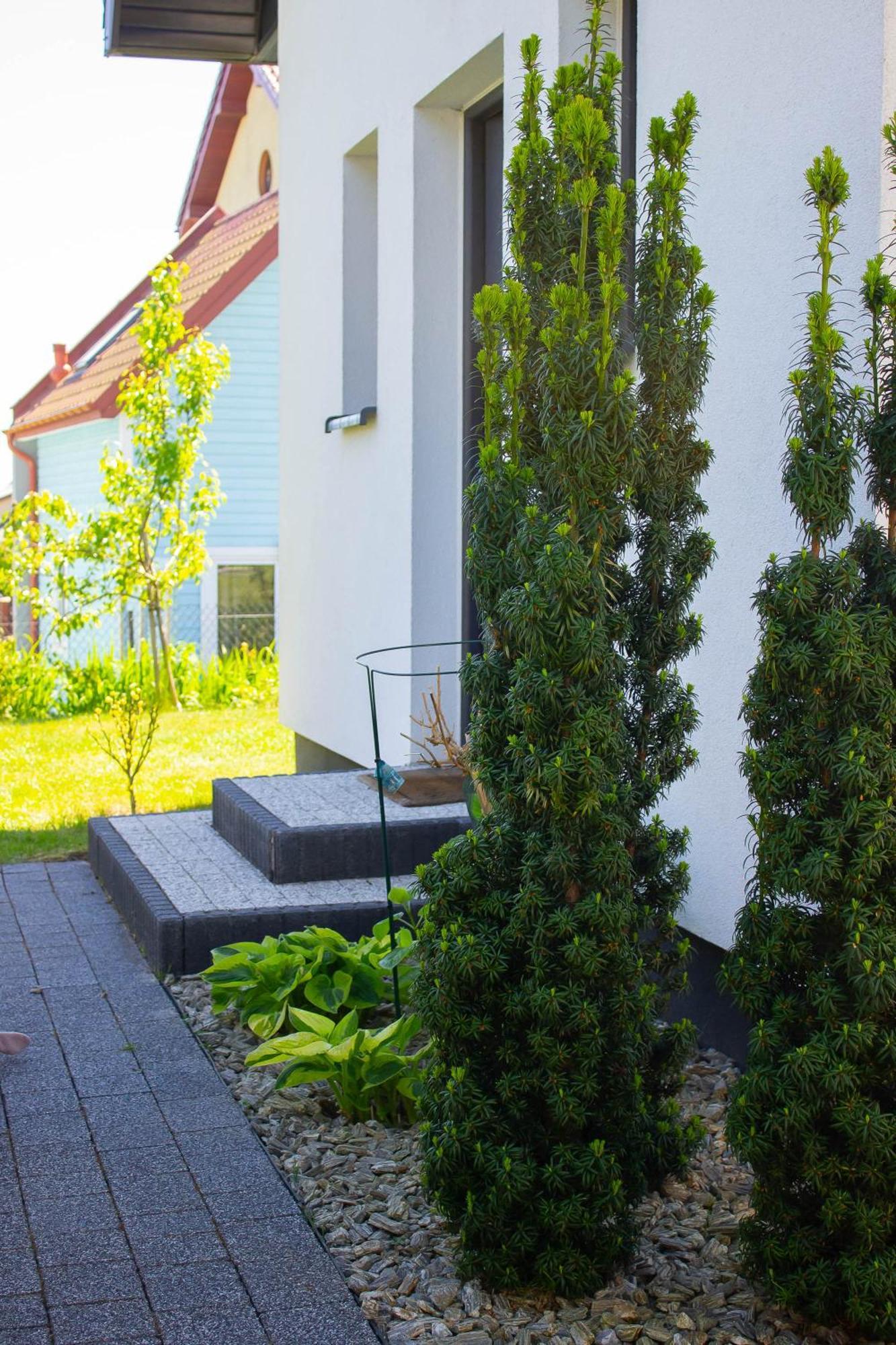 Domki U Marty - Władysławowo Exterior foto
